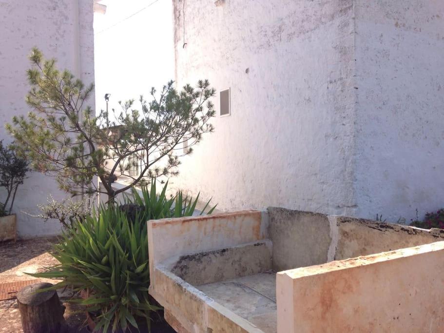 Vila Casa Stella Nell'Aia Cisternino Exteriér fotografie